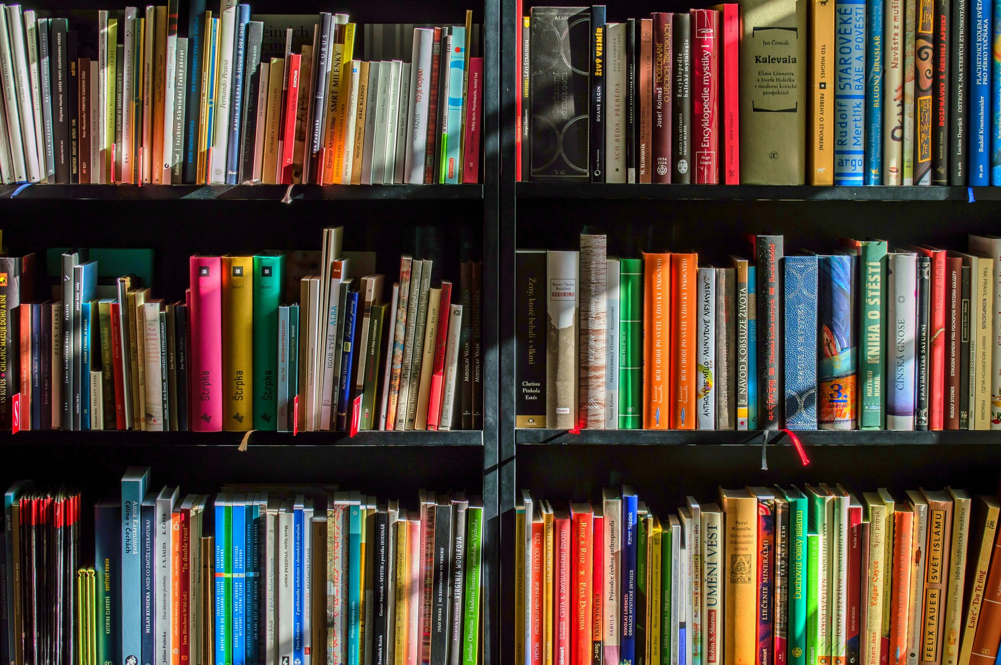 books-in-black-wooden-book-shelf books-in-black-wooden-book-shelf